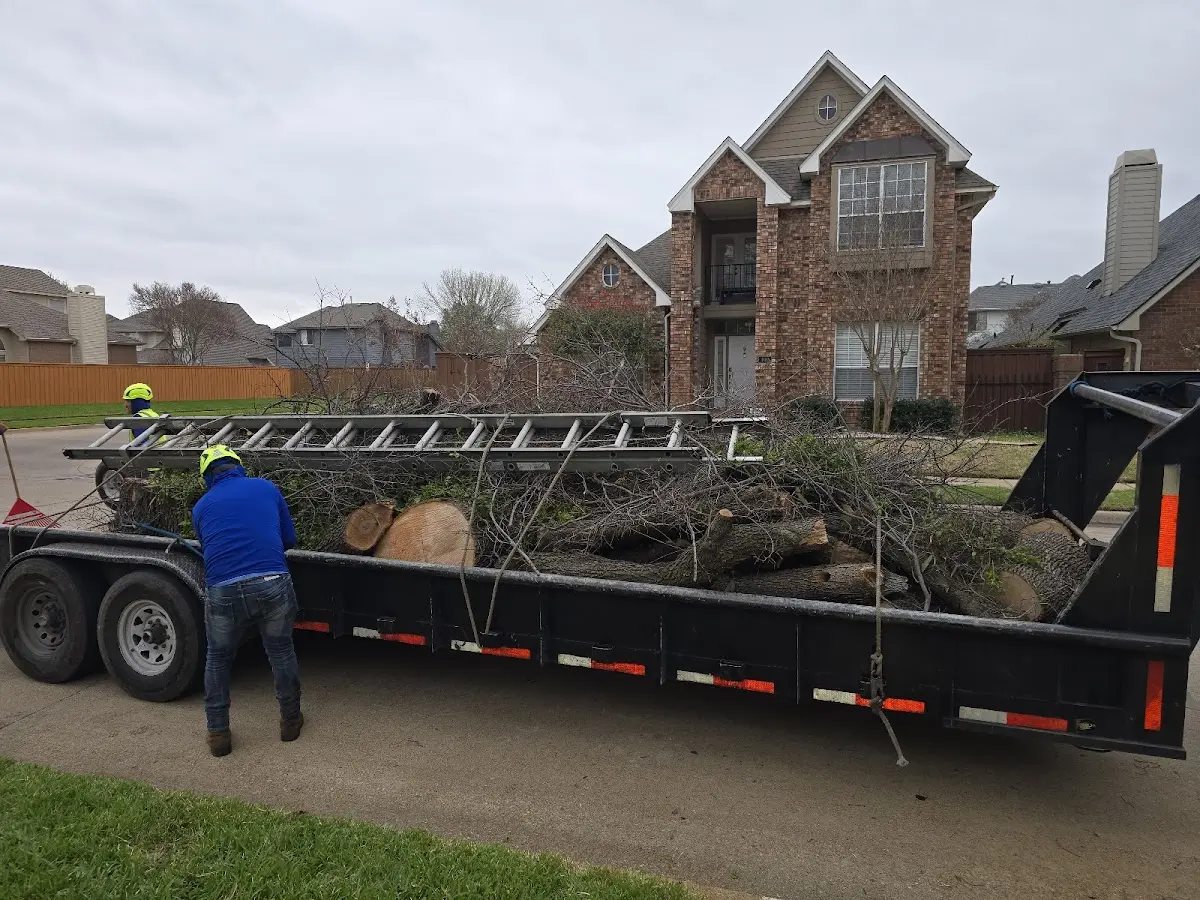 Expert Tree Fertilization with proper safety equipment in Union Mills